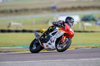 PJ-Motorsport-2019;anglesey-no-limits-trackday;anglesey-photographs;anglesey-trackday-photographs;enduro-digital-images;event-digital-images;eventdigitalimages;no-limits-trackdays;peter-wileman-photography;racing-digital-images;trac-mon;trackday-digital-images;trackday-photos;ty-croes